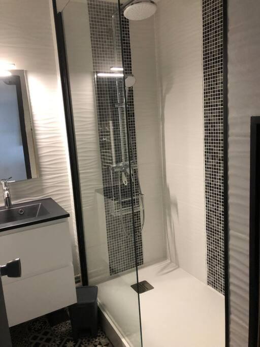 Magnifique T2 Apartment Le Barcares