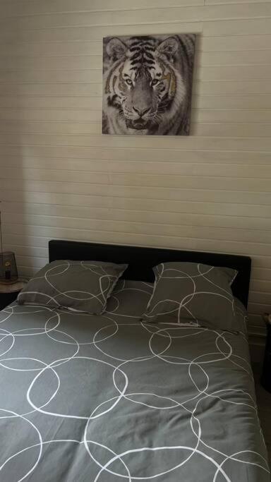 Magnifique T2 Apartment *