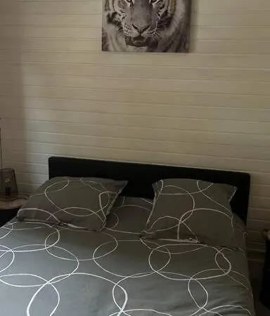 Magnifique Appartement T2 Le Barcarès Exterior foto